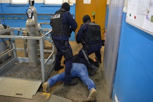 Zdjęcie poglądowe z ćwiczeń policyjnych. Na zdjęciu widać dwóch umundurowanych policjantów i jedną osobę cywilną. Policjanci stoją nad leżącym cywilem. Mężczyzna leży na brzuchu z szeroko rozstawionymi nogami i rękoma. Jest zatrzymany przez funkcjonariuszy.