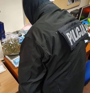 Zdjęcie przedstawiające policjanta, ważącego marihuanę