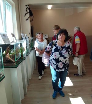 Zdjęcie przedstawiające członków koła podczas oglądania wystawy pająków i skorpionów we Władysławowie