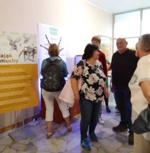 Zdjęcie przedstawiające członków koła podczas oglądania wystawy pająków i skorpionów we Władysławowie