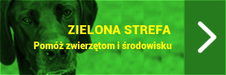 Zielona strefa
