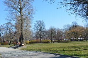 Zdjęcie przedstawiające park.