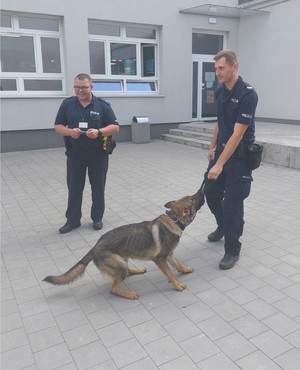 Zdjęcie przedstawiające policjantów podczas festynu rodzinnego