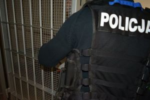 Zdjęcie poglądowe, przedstawiające policjanta zamykającego policyjną celę