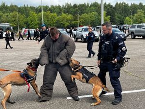 Zdjęcie przedstawiające pozoranta z psami służbowymi i ich opiekunami