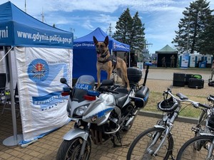 Zdjęcie przedstawiające policjantów podczas wojskowego festynu