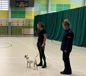 Zdjęcie przedstawiające policjantkę oraz przedstawicielkę Pomorskiej Administracji Celno - Skarbowej podczas spotkania z licealistami