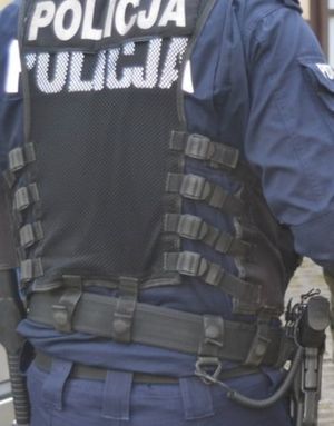 Zdjęcie przedstawiąjace policjanta stojącego tyłem