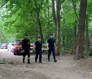 Zdjęcie przedstawiające policjantkę, policjanta i funkcjonariusza Państwowej Straży Pożarnej, którzy patrolują drogę dojazdu na plażę