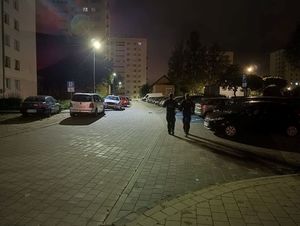 Zdjęcie przedstawiające policjantów podczas patrolowania rejonu służbowego