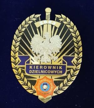 Zdjęcie przedstawiające medal