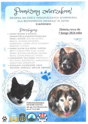 Zdjęcie przedstawiające plakat, dotyczący zbiórki darów dla bezdomnych zwierząt.