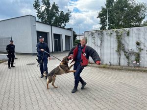 Zdjęcie przedstawiające trzech policjantów oraz psa służbowego. Jeden z policjantów ma na sobie odzież pozoranta, aby zaprezentować pracę psa słuzbowego