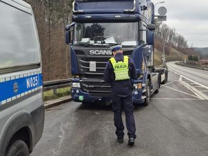 Zdjęcie przedstawiające policjanta idącego w kierunku samochodu ciężarowego.