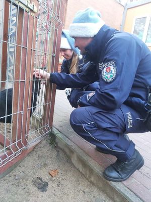 Zdjęcie przedstawiające policjantkę i policjanta przy klatce z psami