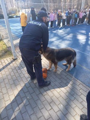 Zdjęcie przedstawiające przewodnika z psem służbowym. W tle widać dzieci.