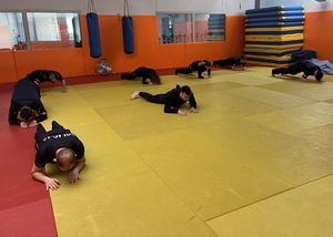 Zdjęcie przedstawiające policjantów podczas ćwiczeń na macie.