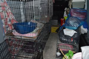 Zdjęcie przedstawiające klatki w pojeździe, w których przetrzymywane były koty. Na zdjęciu widać też worki oraz inne pojemniki.