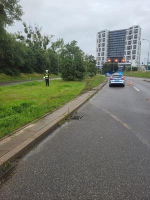 Zdjęcie przedstawiające miejsce zdarzenia drogowego. Na zdjęciu widać policjanta, dwa radiowozy policyjne oraz ślady hamowania na ulicy.