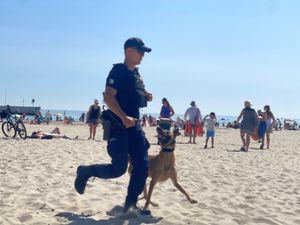 Zdjęcie przedstawiające policjanta z psem służbowym na plaży miejskiej w Gdyni.