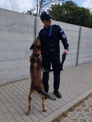 Zdjęcie przedstawiające policjanta z psem służbowym.
