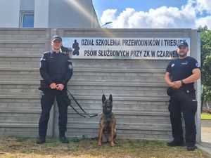 Zdjęcie przedstawiające policjantów z psem służbowym.