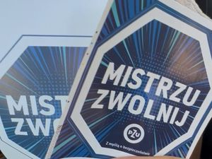 Zdjęcie przedstawia funkcjonariuszkę policji podczas kontroli drogowej jak wręcza ulotki