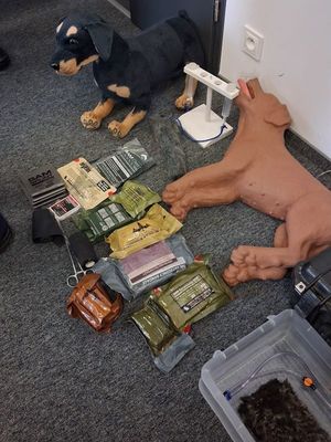 Zdjęcie przedstawiające spotkanie organizacyjne do projektu Napęd na cztery łapy, który realizowany będzie z Programu Funduszy Norweskich.