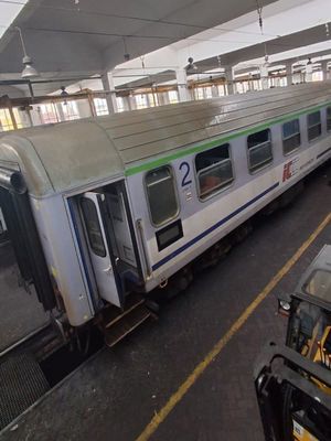 Zdjęcia przedstawiają szkolenie służb mundurowych z psami