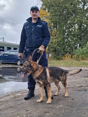 Zdjęcia przedstawiają szkolenie służb mundurowych z psami