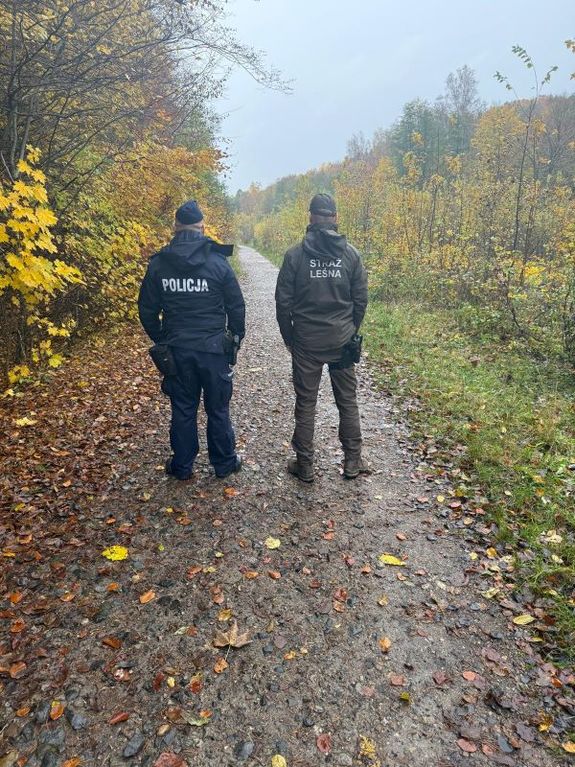 Zdjęcie przedstawia funkcjonariuszy podczas działań w lesie