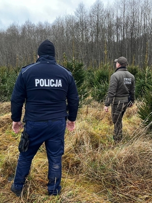 działania policji i straży leśnej