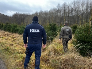 działania policji i straży leśnej