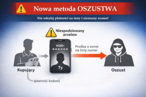 Infografika o oszustwach