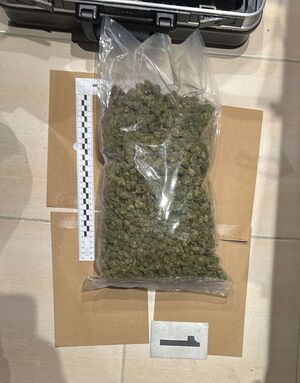 Zdjęcie przedstawia policjanta z zatrzymanym.