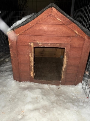 Oksywscy policjanci uratowali życie psa, który nie miał zapewnionych odpowiednich do panującej temperatury i pory roku warunków bytowych.