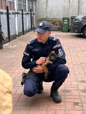 Przedszkolaki z kilkumiesięcznym psem służbowym