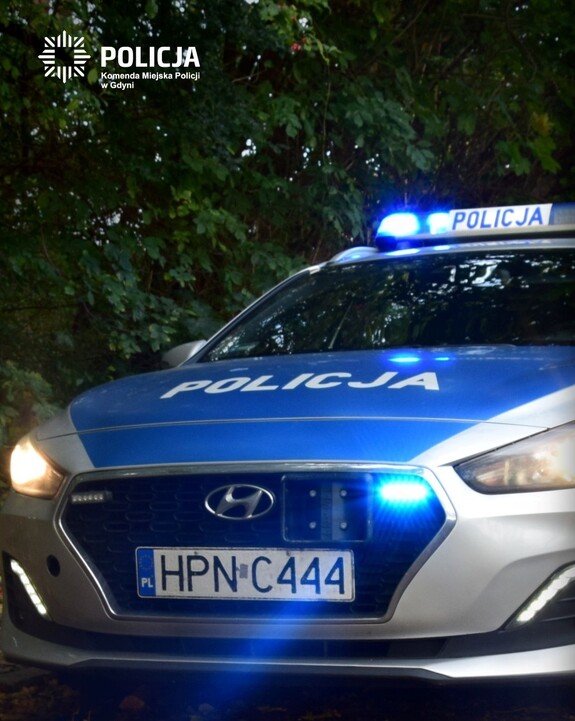 poglądowe